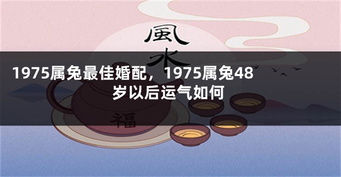1975属兔最佳婚配,1975属兔48岁以后运气如何