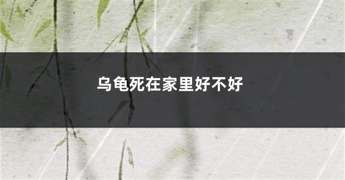 乌龟死在家里好不好