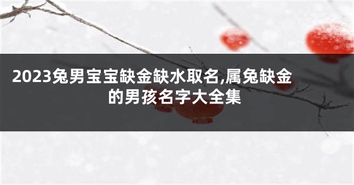 2023兔男宝宝缺金缺水取名,属兔缺金的男孩名字大全集