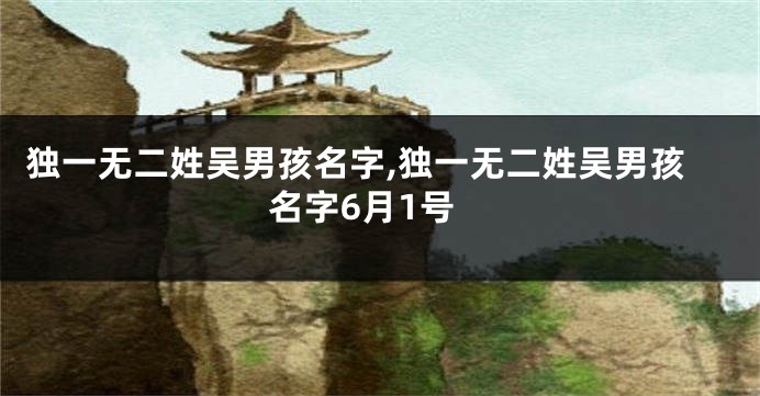 独一无二姓吴男孩名字,独一无二姓吴男孩名字6月1号