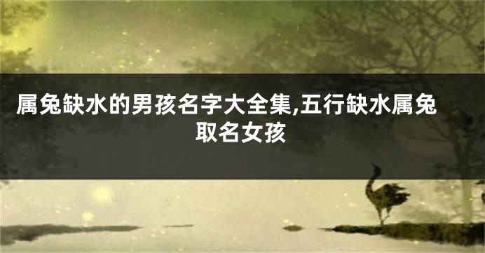 属兔缺水的男孩名字大全集,五行缺水属兔取名女孩