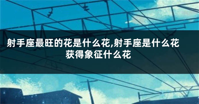 射手座最旺的花是什么花,射手座是什么花获得象征什么花