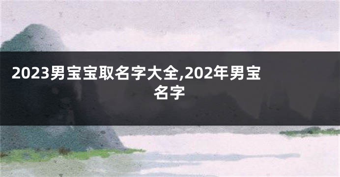 2023男宝宝取名字大全,202年男宝名字