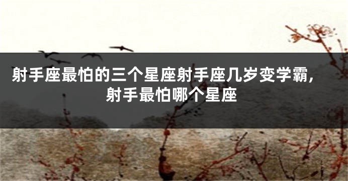 射手座最怕的三个星座射手座几岁变学霸,射手最怕哪个星座