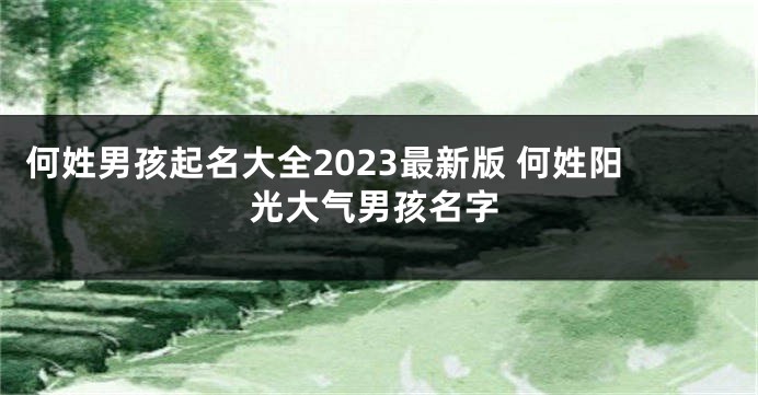 何姓男孩起名大全2023最新版 何姓阳光大气男孩名字