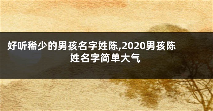 好听稀少的男孩名字姓陈,2020男孩陈姓名字简单大气