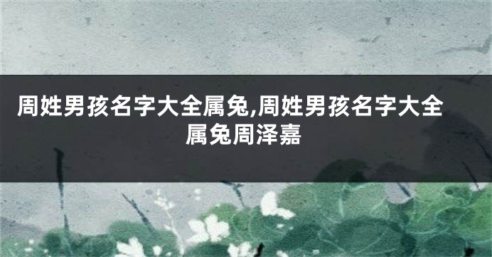 周姓男孩名字大全属兔,周姓男孩名字大全属兔周泽嘉