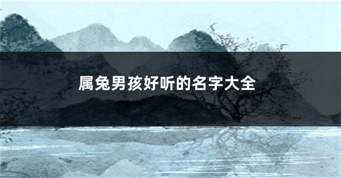 属兔男孩好听的名字大全