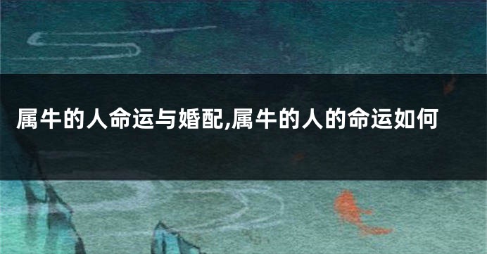 属牛的人命运与婚配,属牛的人的命运如何