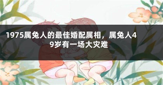 1975属兔人的最佳婚配属相,属兔人49岁有一场大灾难