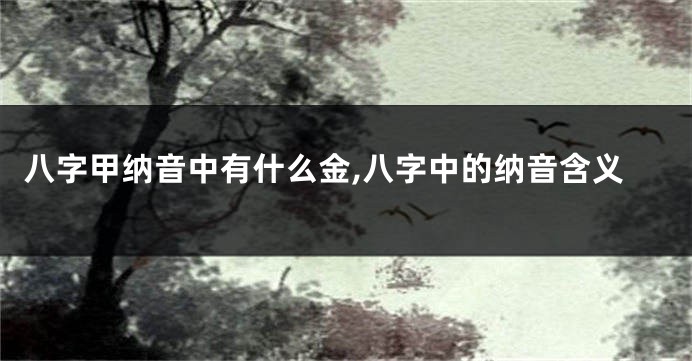 八字甲纳音中有什么金,八字中的纳音含义