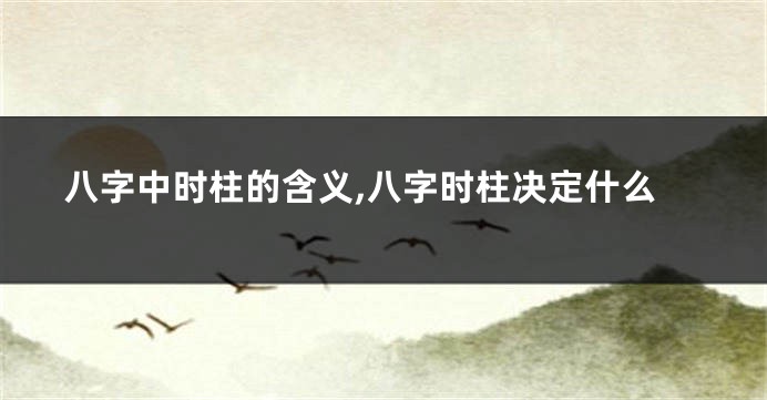 八字中时柱的含义,八字时柱决定什么