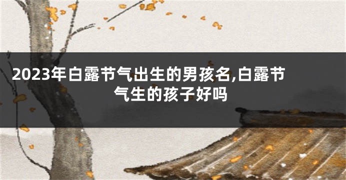 2023年白露节气出生的男孩名,白露节气生的孩子好吗
