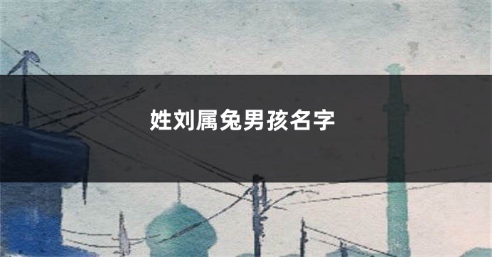 姓刘属兔男孩名字