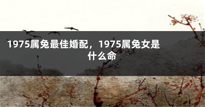 1975属兔最佳婚配,1975属兔女是什么命
