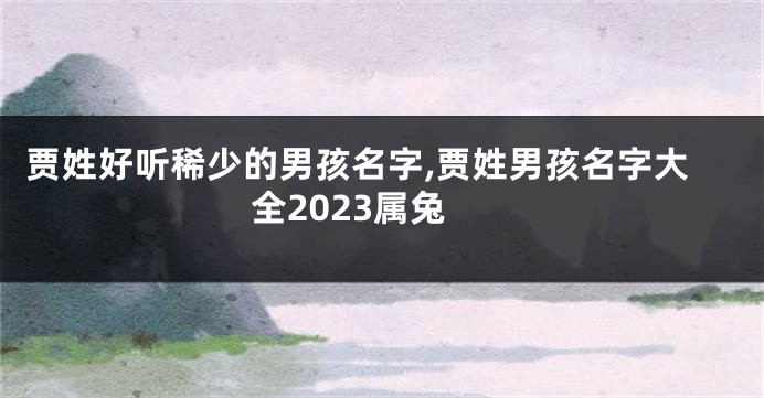 贾姓好听稀少的男孩名字,贾姓男孩名字大全2023属兔