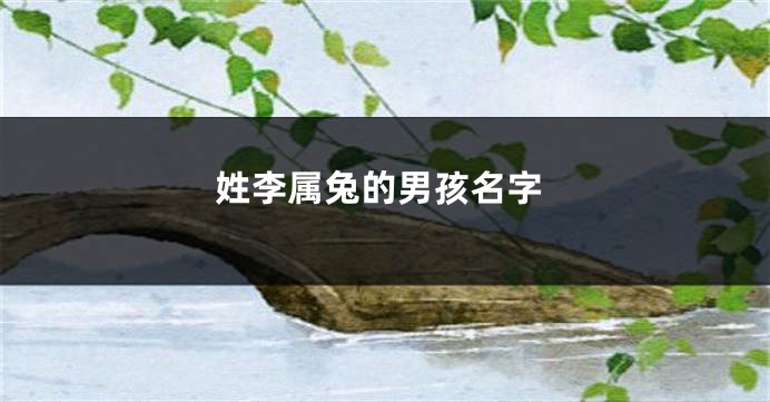 姓李属兔的男孩名字