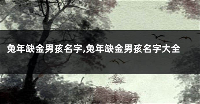 兔年缺金男孩名字,兔年缺金男孩名字大全
