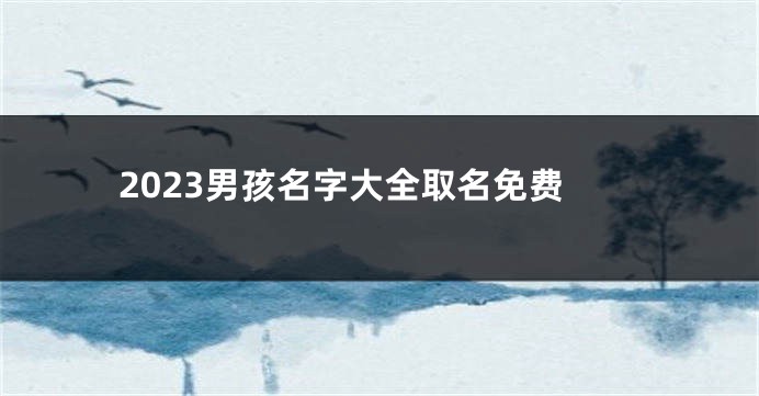 2023男孩名字大全取名免费