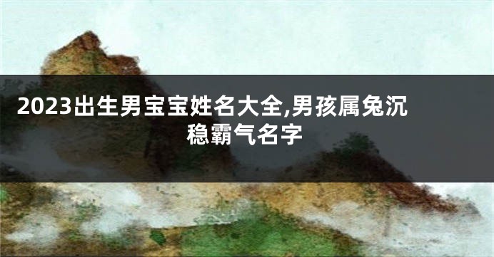 2023出生男宝宝姓名大全,男孩属兔沉稳霸气名字
