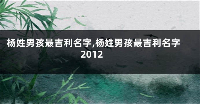 杨姓男孩最吉利名字,杨姓男孩最吉利名字2012