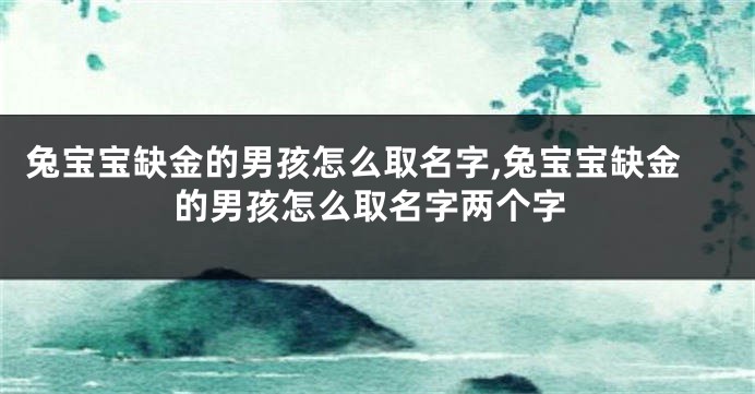 兔宝宝缺金的男孩怎么取名字,兔宝宝缺金的男孩怎么取名字两个字