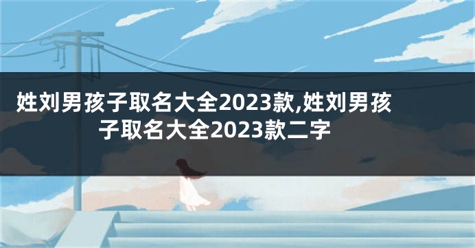姓刘男孩子取名大全2023款,姓刘男孩子取名大全2023款二字