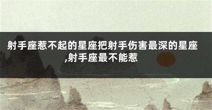 射手座惹不起的星座把射手伤害最深的星座,射手座最不能惹