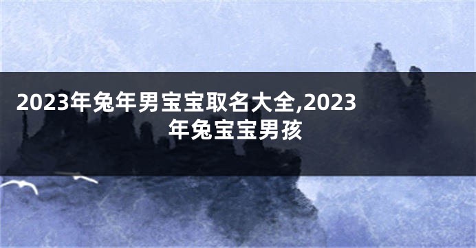 2023年兔年男宝宝取名大全,2023年兔宝宝男孩