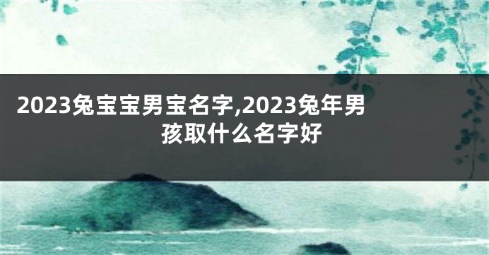 2023兔宝宝男宝名字,2023兔年男孩取什么名字好