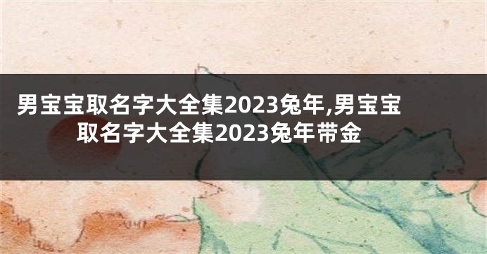 男宝宝取名字大全集2023兔年,男宝宝取名字大全集2023兔年带金