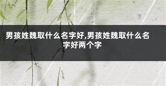 男孩姓魏取什么名字好,男孩姓魏取什么名字好两个字