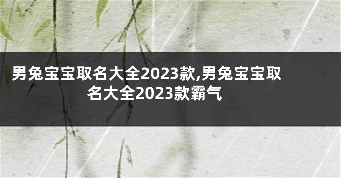 男兔宝宝取名大全2023款,男兔宝宝取名大全2023款霸气