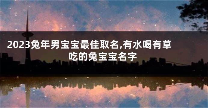 2023兔年男宝宝最佳取名,有水喝有草吃的兔宝宝名字
