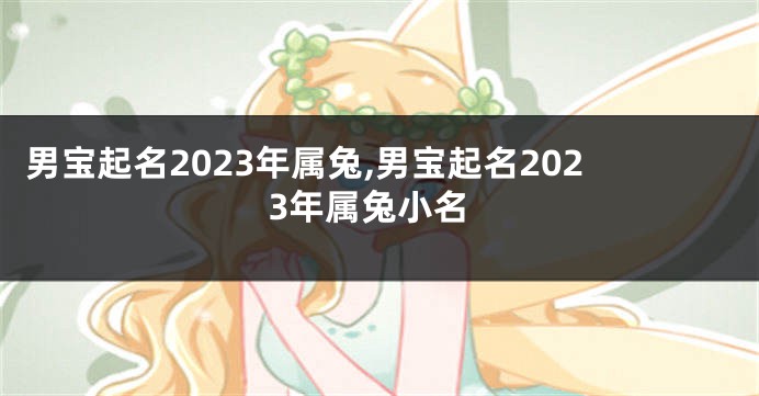 男宝起名2023年属兔,男宝起名2023年属兔小名