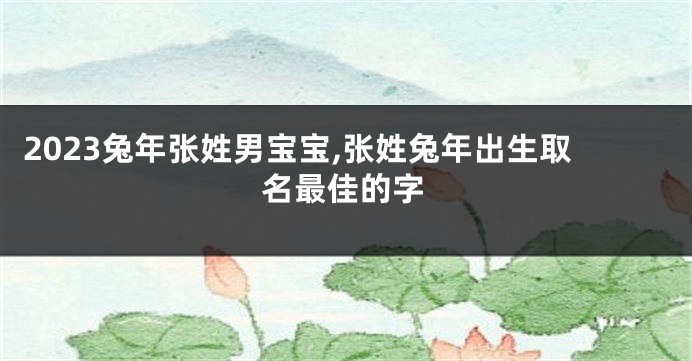 2023兔年张姓男宝宝,张姓兔年出生取名最佳的字