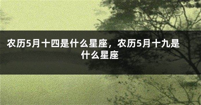 农历5月十四是什么星座,农历5月十九是什么星座
