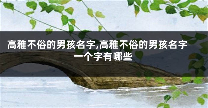 高雅不俗的男孩名字,高雅不俗的男孩名字一个字有哪些