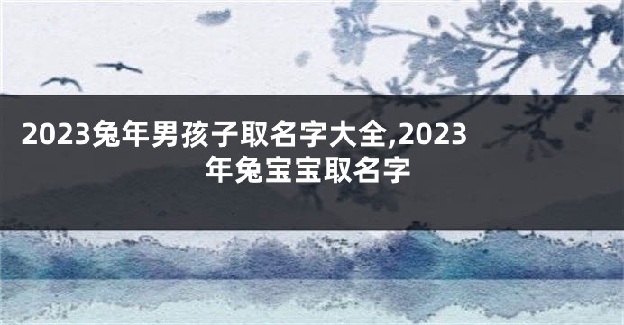 2023兔年男孩子取名字大全,2023年兔宝宝取名字