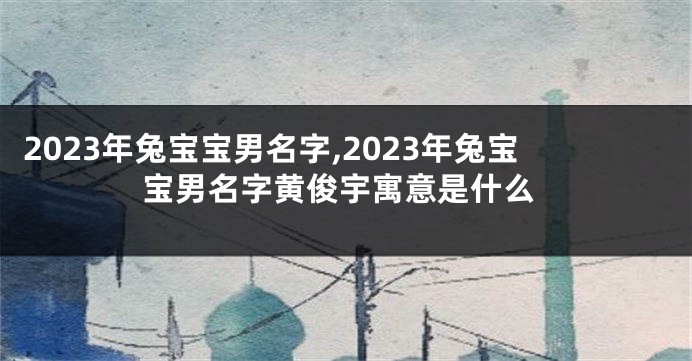 2023年兔宝宝男名字,2023年兔宝宝男名字黄俊宇寓意是什么