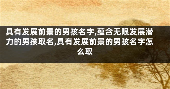 具有发展前景的男孩名字,蕴含无限发展潜力的男孩取名,具有发展前景的男孩名字怎么取