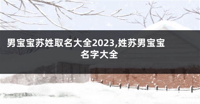 男宝宝苏姓取名大全2023,姓苏男宝宝名字大全