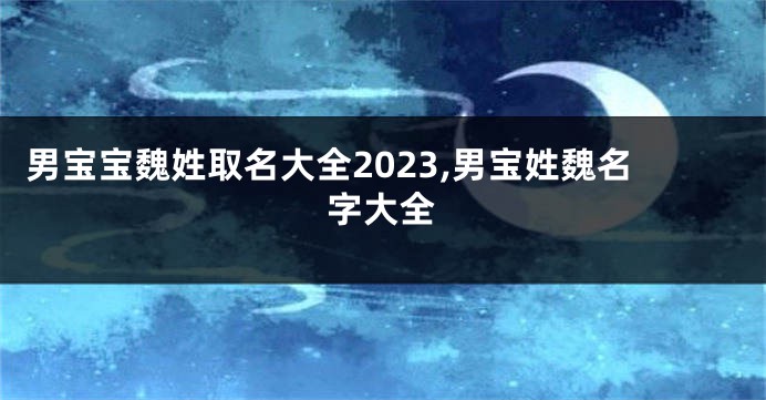 男宝宝魏姓取名大全2023,男宝姓魏名字大全