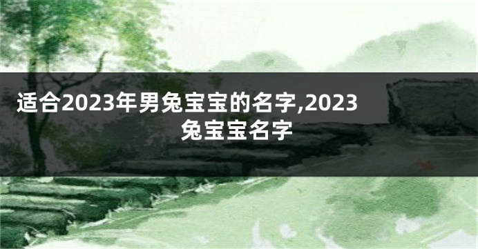适合2023年男兔宝宝的名字,2023兔宝宝名字