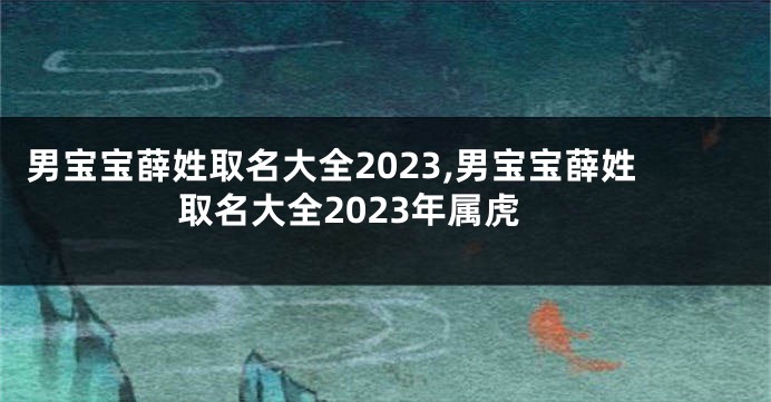 男宝宝薛姓取名大全2023,男宝宝薛姓取名大全2023年属虎