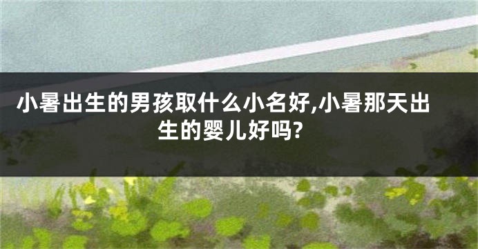 小暑出生的男孩取什么小名好,小暑那天出生的婴儿好吗?