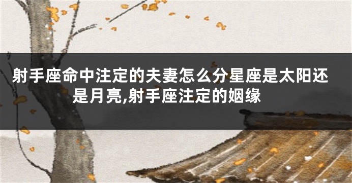 射手座命中注定的夫妻怎么分星座是太阳还是月亮,射手座注定的姻缘