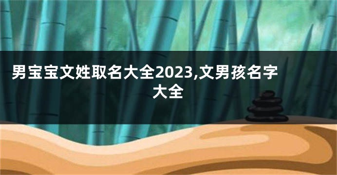 男宝宝文姓取名大全2023,文男孩名字大全