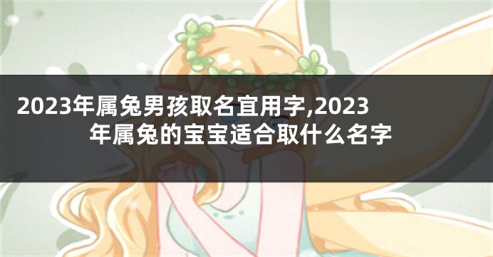 2023年属兔男孩取名宜用字,2023年属兔的宝宝适合取什么名字