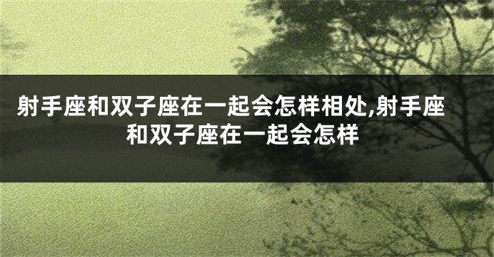 射手座和双子座在一起会怎样相处,射手座和双子座在一起会怎样